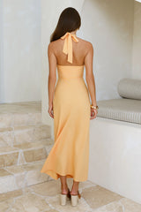 Dreamy Silhouette Halter Maxi Dress Sorbet
